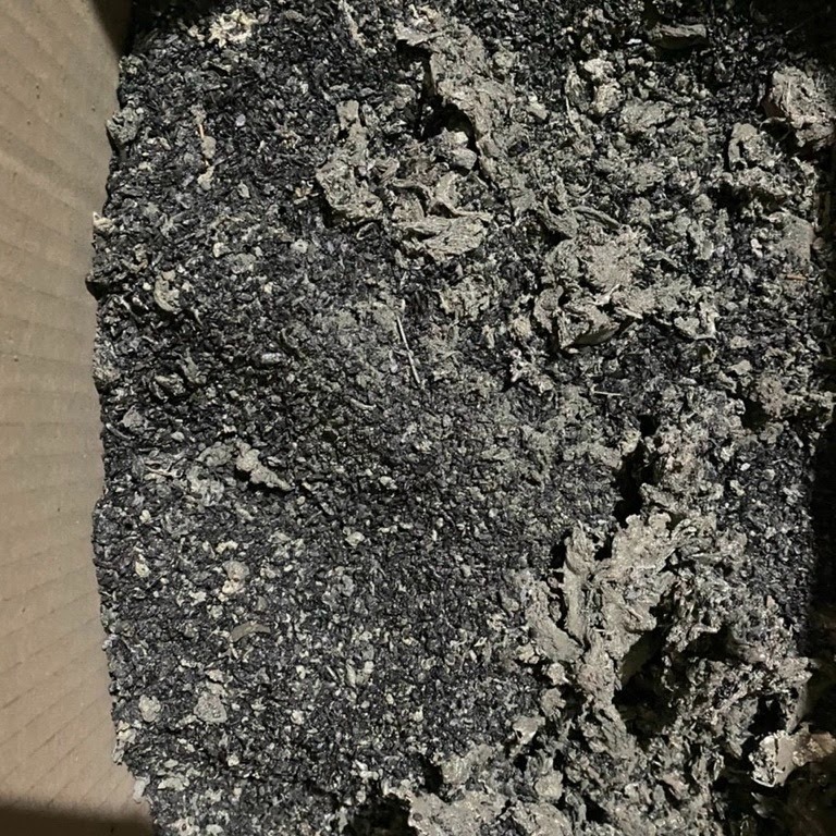 si-thiec-chi-1730192698