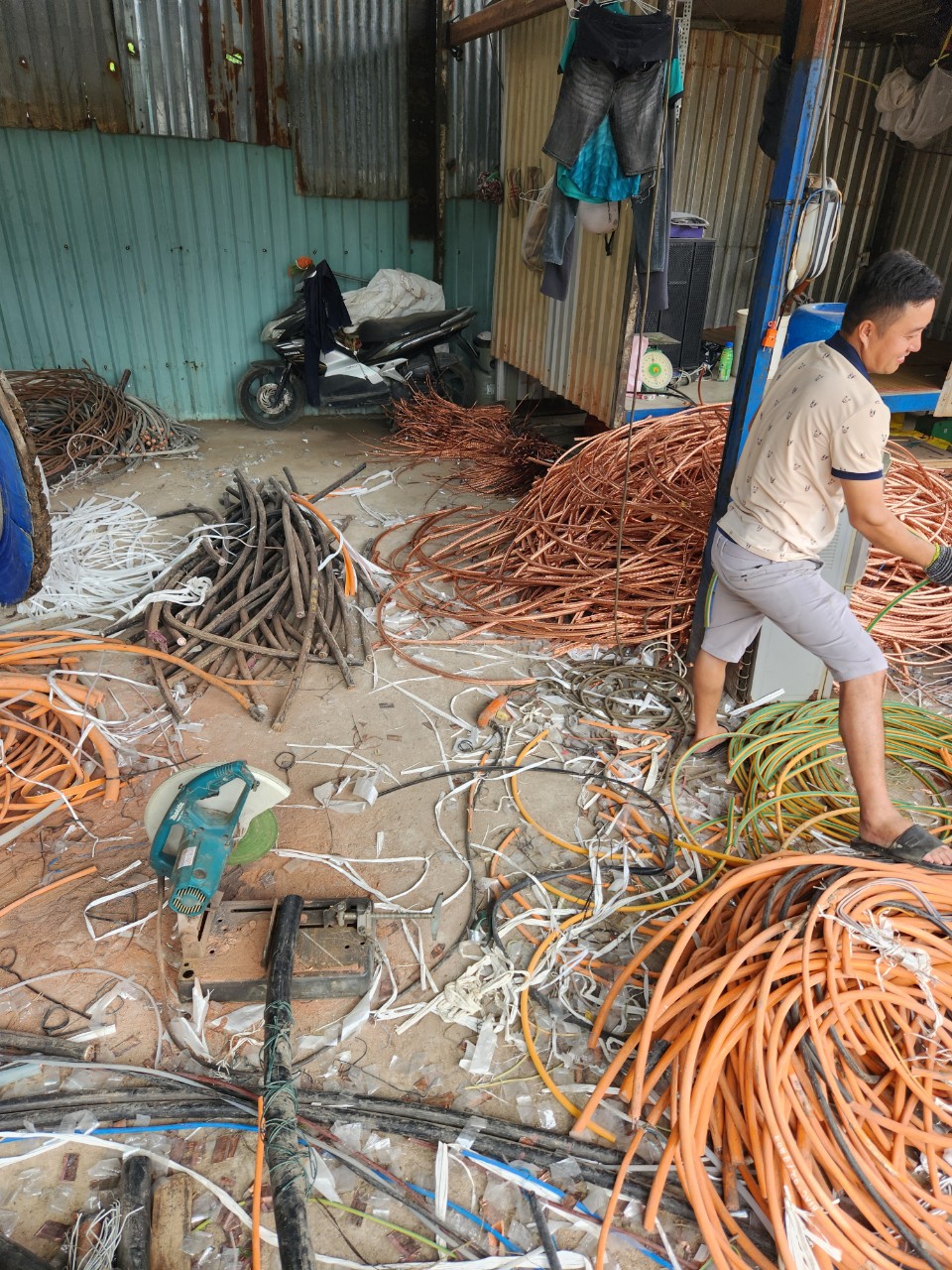 z4573422418756ffe4f34f61b6f2e28ec39ca64ff9f585-5799